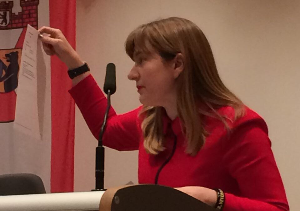 Dezembersitzung der BVV Mitte